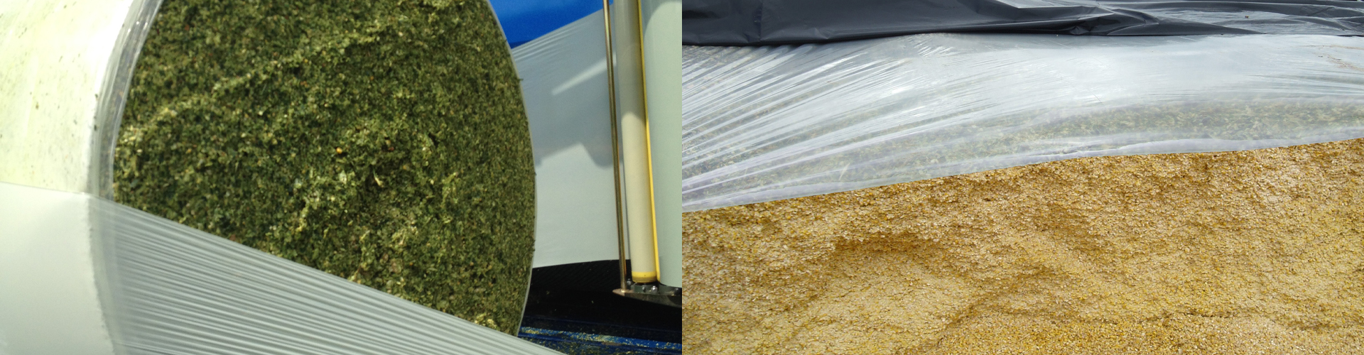 Berry’s High-Performance Bale and Clamp Silage Solutions Have Maize Season Covered